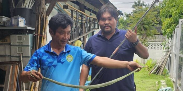 เทศบาลตำบลหนองยวง ออกตรวจสอบและให้ความช่วยเหลือ เหตุพบงูเลื้อยเข้าบ้านเรือนประชาชน ณ หมู่ที่ 1 บ้านเหล่าดู่ ตำบลหนองยวง อำเภอเวียงหนองล่อง จังหวัดลำพูน
