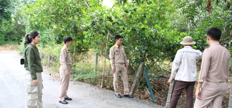 เทศบาลตำบลหนองยวง ลงพื้นที่สำรวจเส้นทางระบายน้ำและทางน้ำผ่าน ณ บ้านล้องเครือกวาว หมู่ที่ 5 ตำบลหนองยวง อำเภอเวียงหนองล่อง จังหวัดลำพูน
