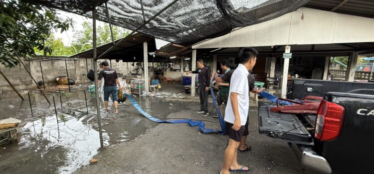 เทศบาลตำบลหนองยวง ลงพื้นที่ให้ความช่วยเหลือและแก้ไขปัญหาเหตุน้ำขังบริเวณถนนและภายในบ้านเรือนของประชาชน ณ บ้านเหล่าดู่ หมู่ที่ 1 ตำบลหนองยวง อำเภอเวียงหนองล่อง จังหวัดลำพูน